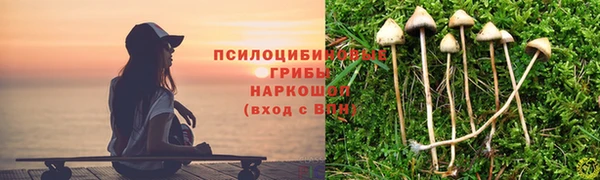 ПСИЛОЦИБИНОВЫЕ ГРИБЫ Вязники